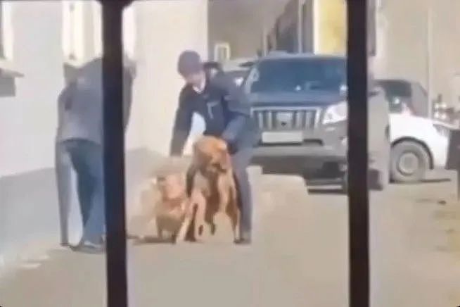 男子被恶犬咬成重伤，过于残忍的画风，甚至直接吓死了保安…（组图） - 1