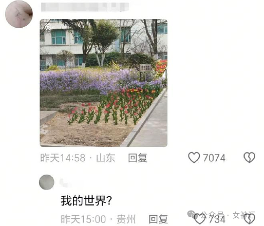 【爆笑】千万别轻易叫网友帮忙P图，否则...网友笑疯：哈哈哈P图水平够野！（组图） - 50