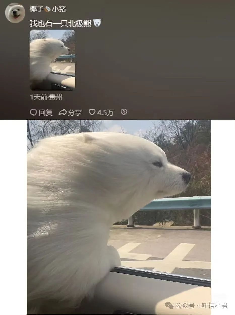 【爆笑】“谁能帮我P个坐在腿上的女朋友…?”哈哈哈评论区八仙过海各显神通(组图) - 17