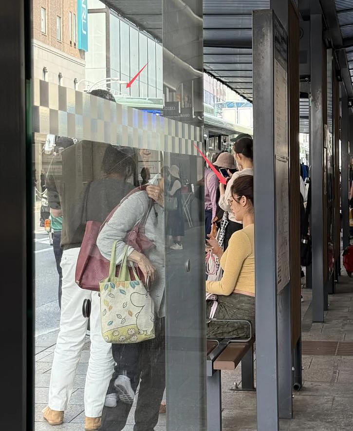 网友遇杨采珏,孕肚明显男友在侧,小刘亦菲终未成真“神仙姐姐”(组图) - 6