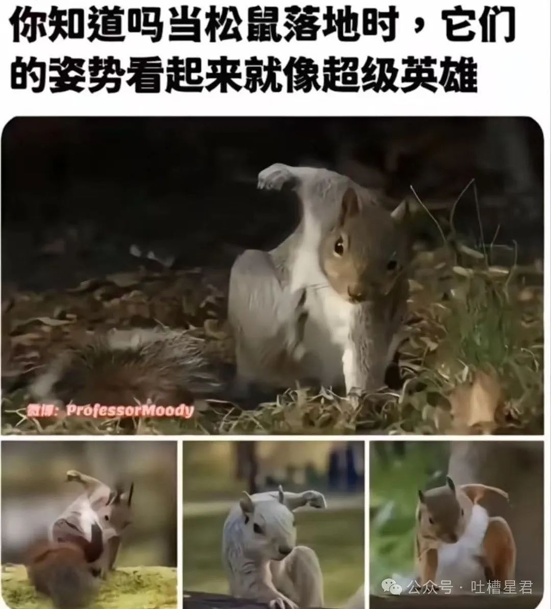 【爆笑】“领导群里发话同事已读乱回...?”哈哈哈原来这就是职场生存之道(组图) - 95