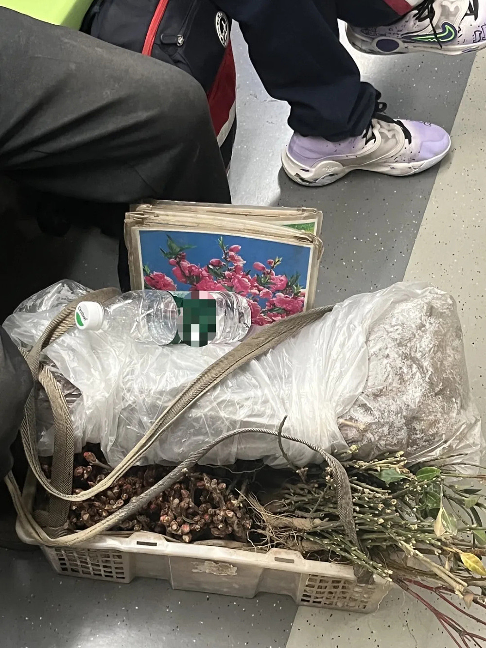 热搜第一！务工大哥坐地铁被邻座骂脏，她挺身而出：“我愿意跟他挨着”（视频/组图） - 11