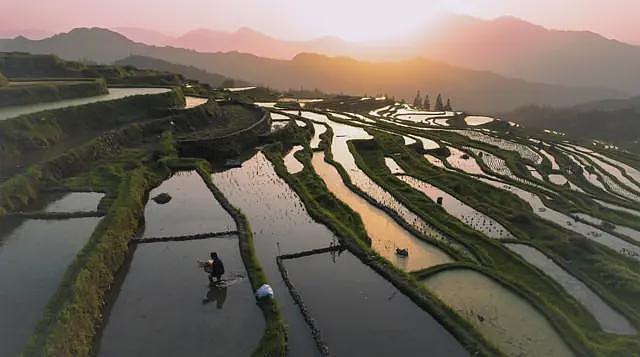 【涨知识】吃饭致癌？气候变化或增大米砷含量，导致患癌风险上升（组图） - 3