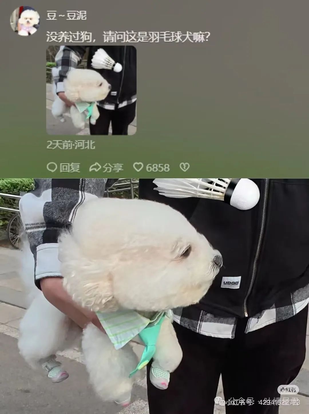【爆笑】“谁能帮我P个坐在腿上的女朋友…?”哈哈哈评论区八仙过海各显神通(组图) - 18