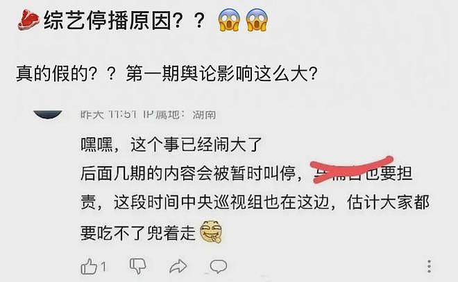 赵露思舆情影响大！活动取消综艺停播新剧提档，网友直言自断后路（组图） - 15