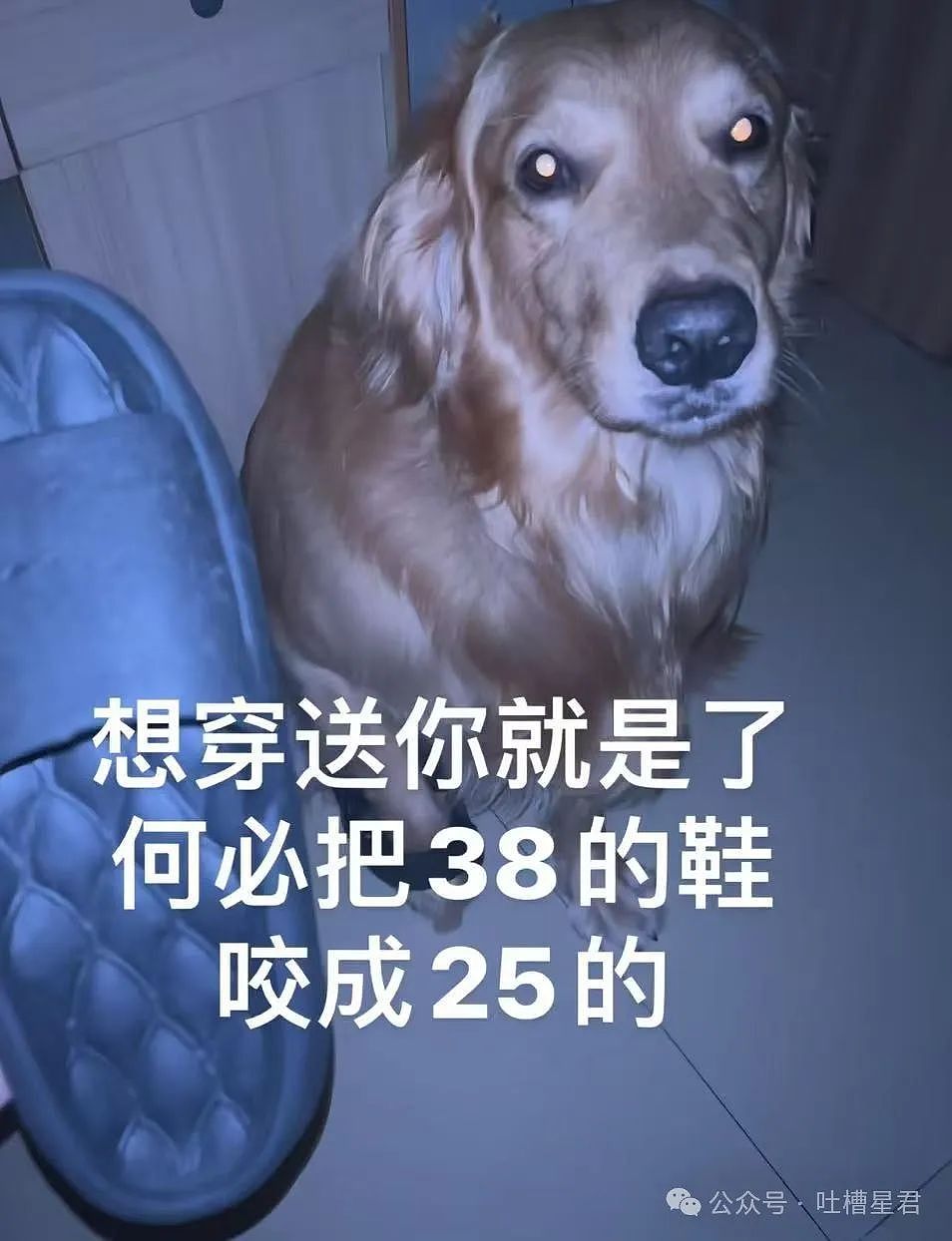 【爆笑】“领导群里发话同事已读乱回...?”哈哈哈原来这就是职场生存之道(组图) - 97