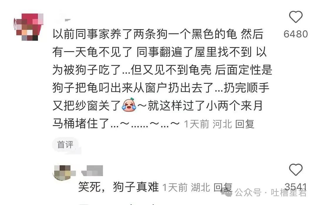 【爆笑】“领导群里发话同事已读乱回...?”哈哈哈原来这就是职场生存之道(组图) - 81