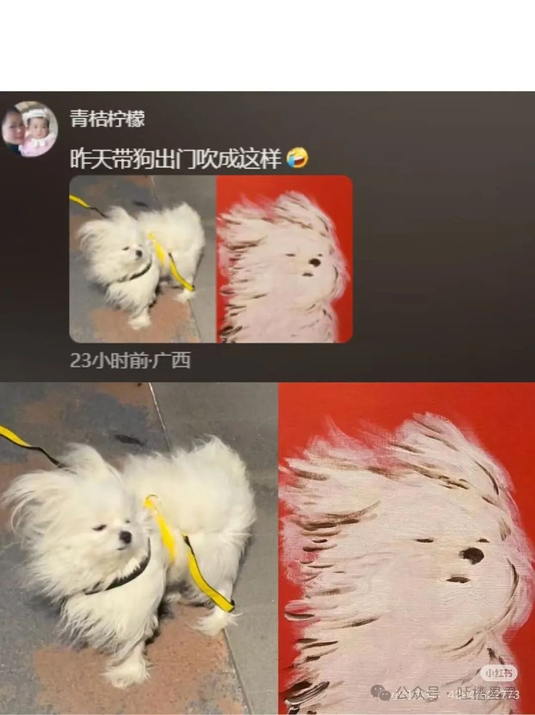 【爆笑】“谁能帮我P个坐在腿上的女朋友…?”哈哈哈评论区八仙过海各显神通(组图) - 19
