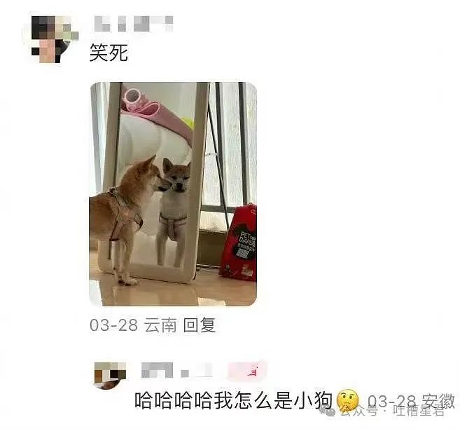 【爆笑】“领导群里发话同事已读乱回...?”哈哈哈原来这就是职场生存之道(组图) - 86