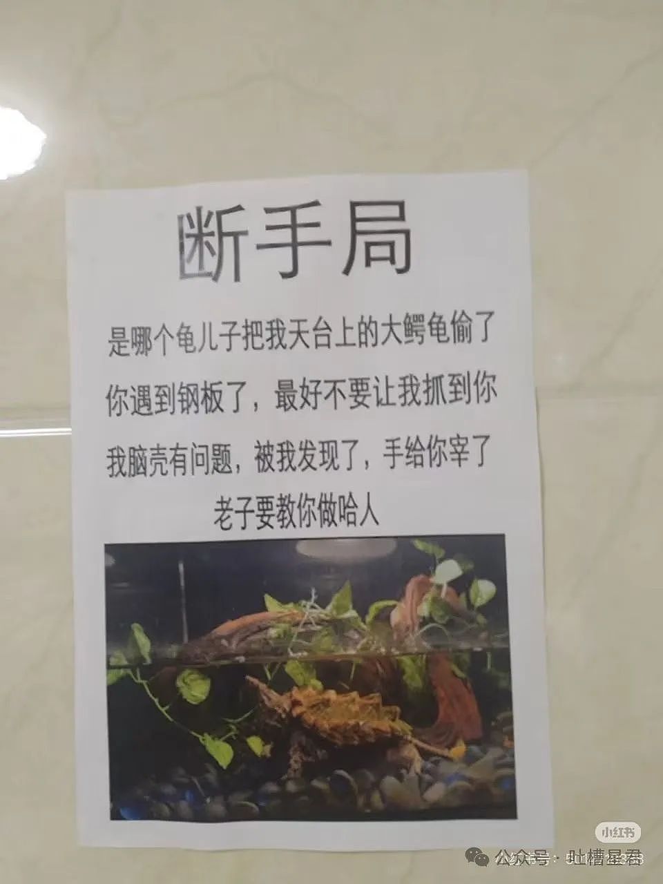 【爆笑】“领导群里发话同事已读乱回...?”哈哈哈原来这就是职场生存之道(组图) - 80
