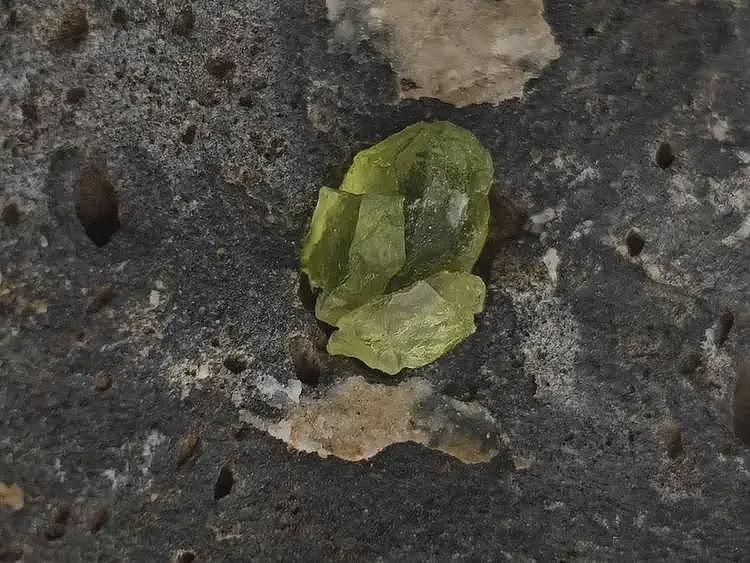 挖野菜还不够，现在踏春流行“挖矿”（组图） - 1