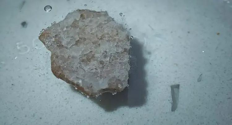 挖野菜还不够，现在踏春流行“挖矿”（组图） - 5