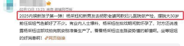 网友遇杨采珏,孕肚明显男友在侧,小刘亦菲终未成真“神仙姐姐”(组图) - 8