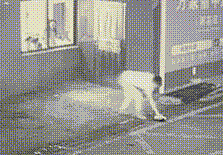 情侣饭店大吵！男友竟用身体「撞破窗户逃跑」…网一看笑喷（组图） - 3