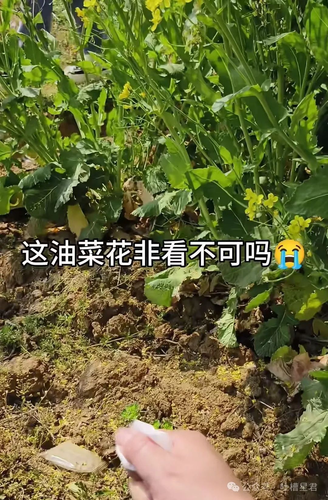 【爆笑】“领导群里发话同事已读乱回...?”哈哈哈原来这就是职场生存之道(组图) - 24