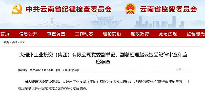 中国官员张飞、赵云违规违法遭调查，网友全歪楼：五虎上将已折其二！（组图） - 3