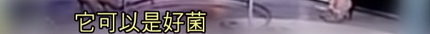 震惊!香港名媛身世被扒!当“中介”介绍富商,专门找网红作伴游!(组图) - 63