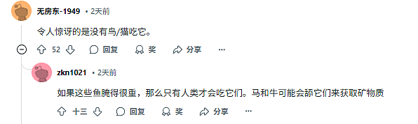 新西兰华人后院一幕令Kiwi网友“集体呕吐”！每年500人死于流感，政府呼吁：全员接种疫苗（组图） - 7