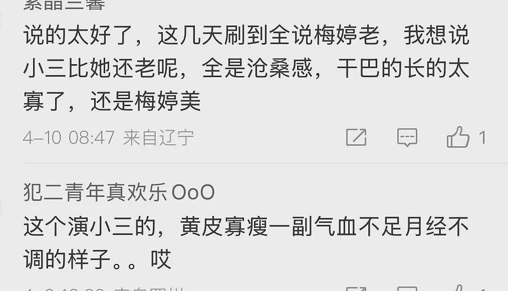 她居然被嘲老了丑了，不配当“小三”了（组图） - 12
