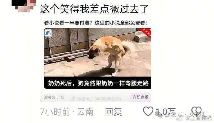 【爆笑】网红直播时美腿滤镜意外关闭，结果..？网友笑疯：画面过于刺激（组图） - 17
