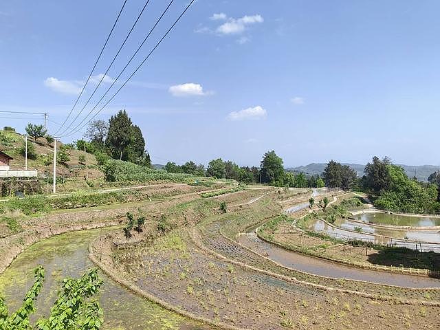 村干部因花式＂被踢＂走红：正在筹备直播带货卖农产品（组图） - 4