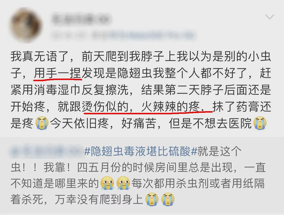 毒液堪比硫酸，一地确诊200多例！千万不要拍，有人差点毁容（组图） - 3