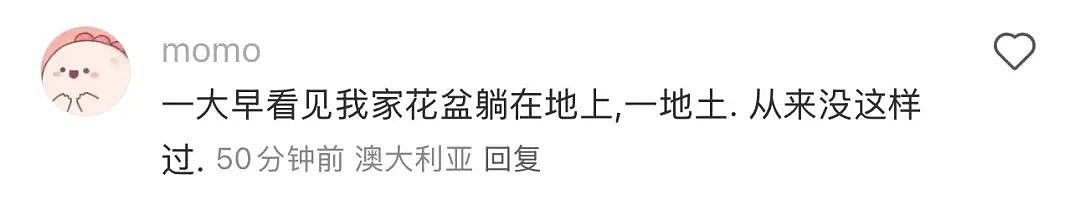 刚刚，悉尼人被震醒了！30多年以来第一次（组图） - 32