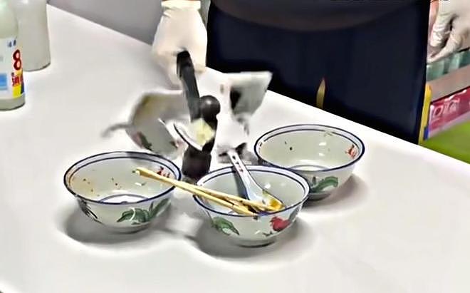 大快人心!网红“菜花夫妇”账号彻底被封禁(组图) - 2