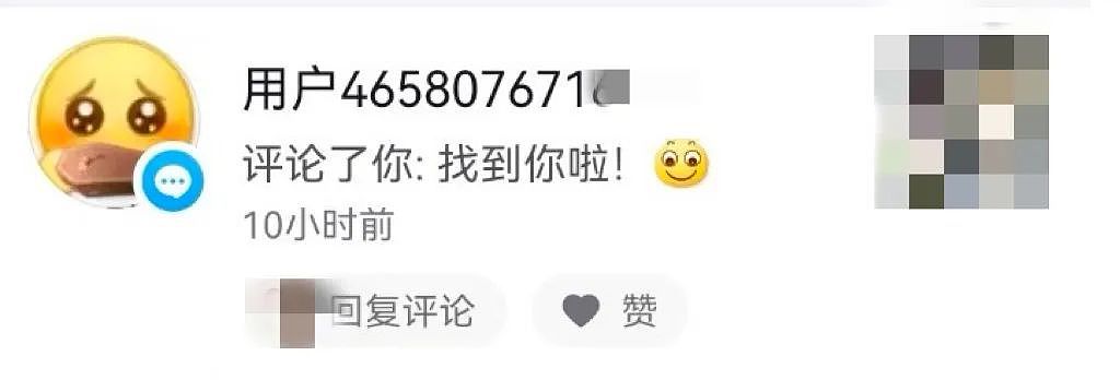 被开盒一年后，我亲手抓住了他（组图） - 11