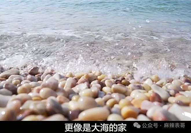 房琪塌房,是迟早的事(组图) - 9