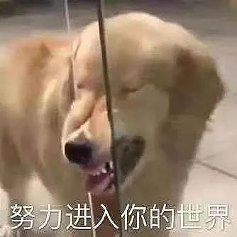 【两性】女生的这些撩人攻势,直男压根顶不住(组图) - 11