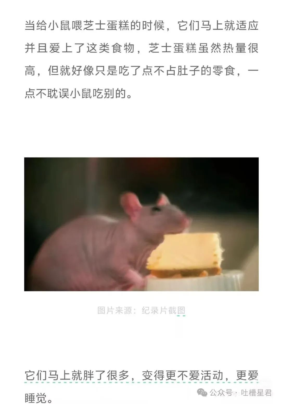 【爆笑】前任清明节偶发性诈尸该怎么办…?哈哈哈每个人都拥有这样的前任(组图) - 34