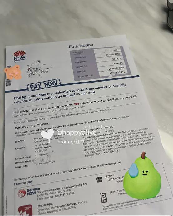 华人回国后, 竟收到澳洲罚单!虽远必达,根本别想跑(组图) - 2