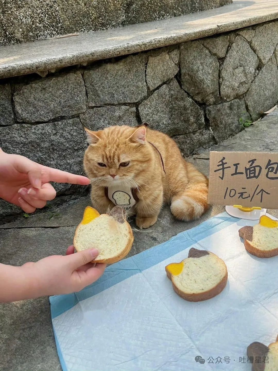【爆笑】前任清明节偶发性诈尸该怎么办…?哈哈哈每个人都拥有这样的前任(组图) - 67