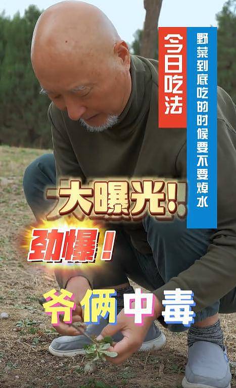陈陈佩斯与儿子挖野菜！多年父子成兄弟，儿子让他晚年没烦恼（组图） - 3
