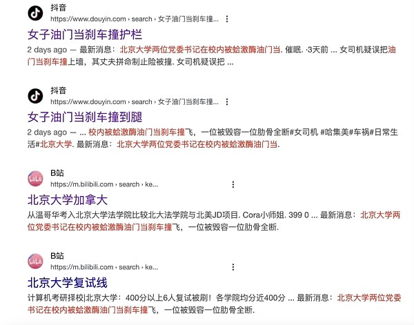 网传北大校内女老师“把油门当刹车”,撞飞两名官员引发网络热议!网友:女版“献忠”(组图) - 4