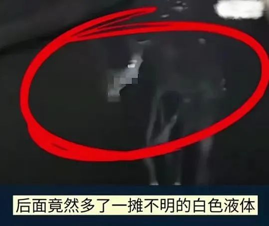 上海地铁变态事件后再出男“射手”,女受害人晒案发视频越看越后怕…(视频/组图) - 4
