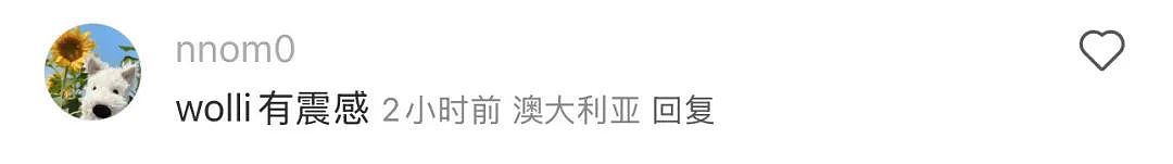 刚刚，悉尼人被震醒了！30多年以来第一次（组图） - 37