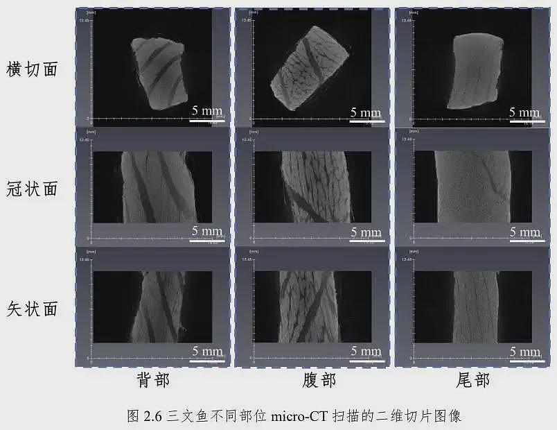 “海底大肥猪”三文鱼，到底有多油（组图） - 4