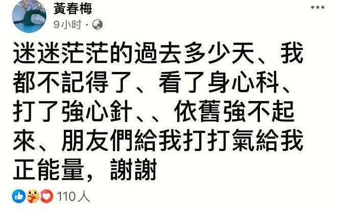 小S二女儿评论区大翻车，高冷名媛范挨批评，被捧得太浮夸了（组图） - 14
