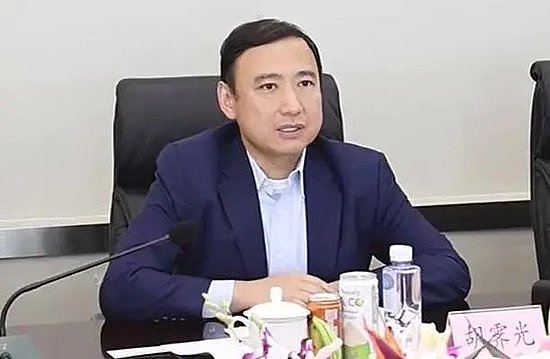 翻译机错误！传胡锡进加盟大摩任中国区副董？原来是他...（组图） - 4