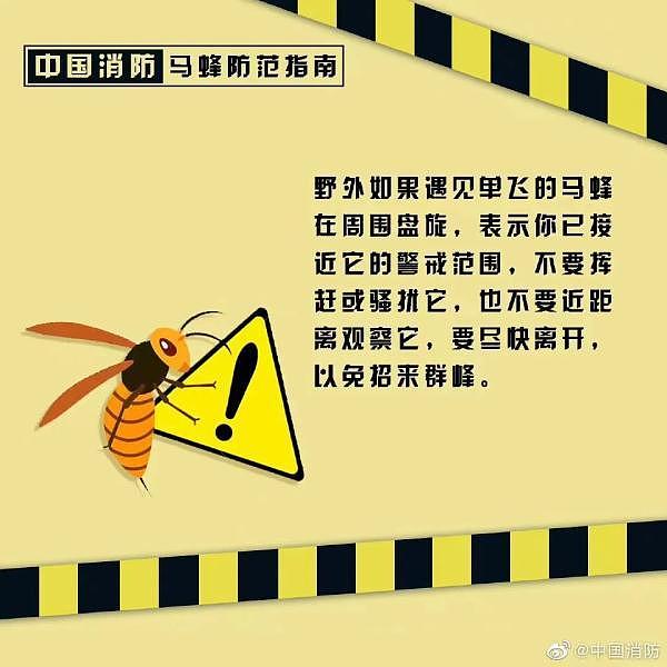 摘马蜂窝致路人被蛰去世,两兄弟涉嫌过失致人死亡罪被公诉(组图) - 5