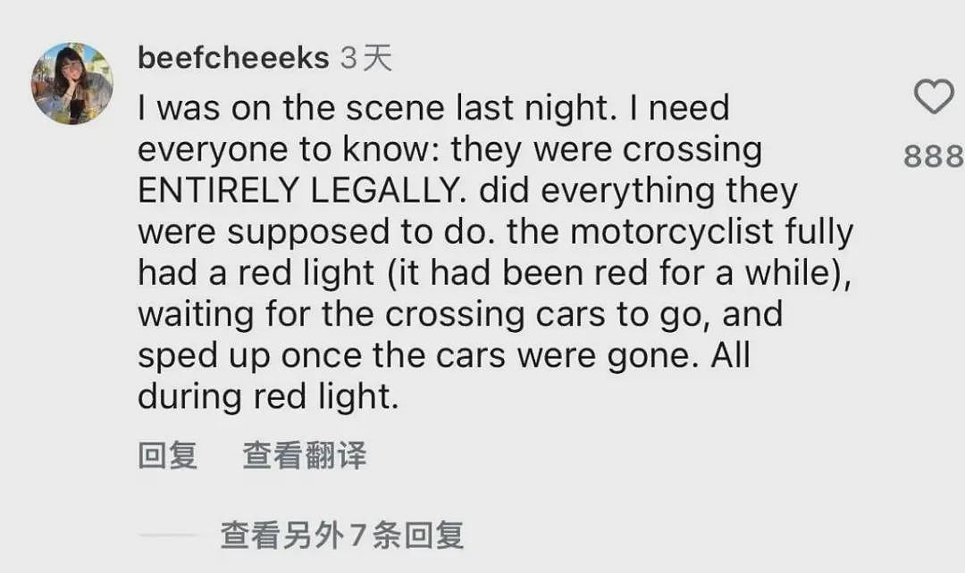 华女母亲被撞身亡！肇事者闯红灯加速逃逸！女儿泣求网友帮忙找凶手（组图） - 11