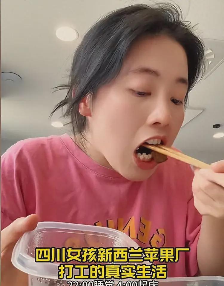 四川女孩新西兰苹果厂打工:四点起床,时薪109人民币,月入三万(组图) - 1