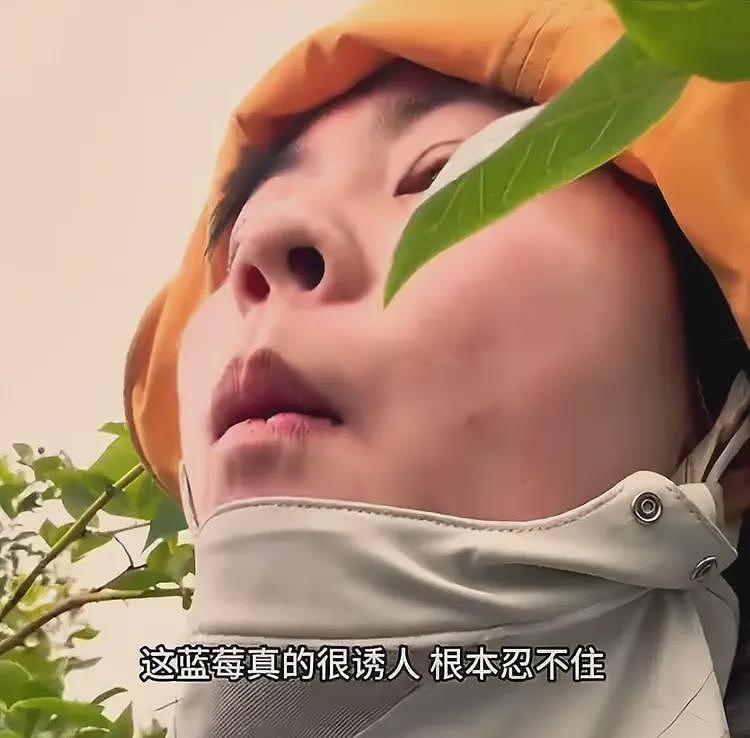 四川女孩新西兰苹果厂打工:四点起床,时薪109人民币,月入三万(组图) - 18