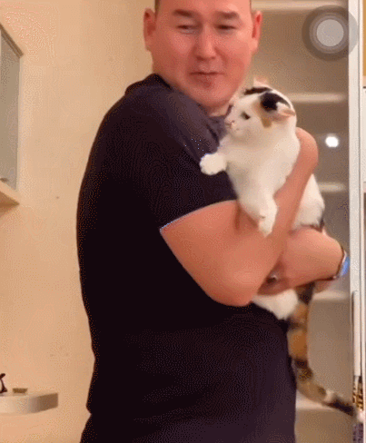 【宠物】男子网恋被无毛猫骗走5200元,网友不信,一看图沉默了...(组图) - 12