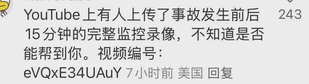 华女母亲被撞身亡！肇事者闯红灯加速逃逸！女儿泣求网友帮忙找凶手（组图） - 12