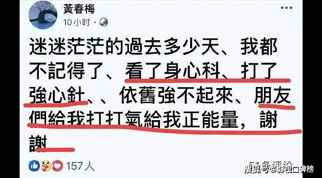 S妈发文向网友求助，小S二女儿晒英国游玩美照..（组图） - 3