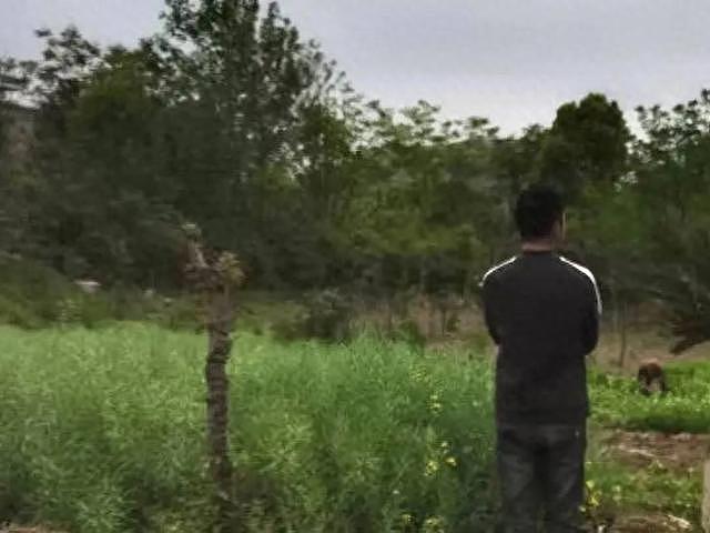 摘马蜂窝致路人被蛰去世,两兄弟涉嫌过失致人死亡罪被公诉(组图) - 1