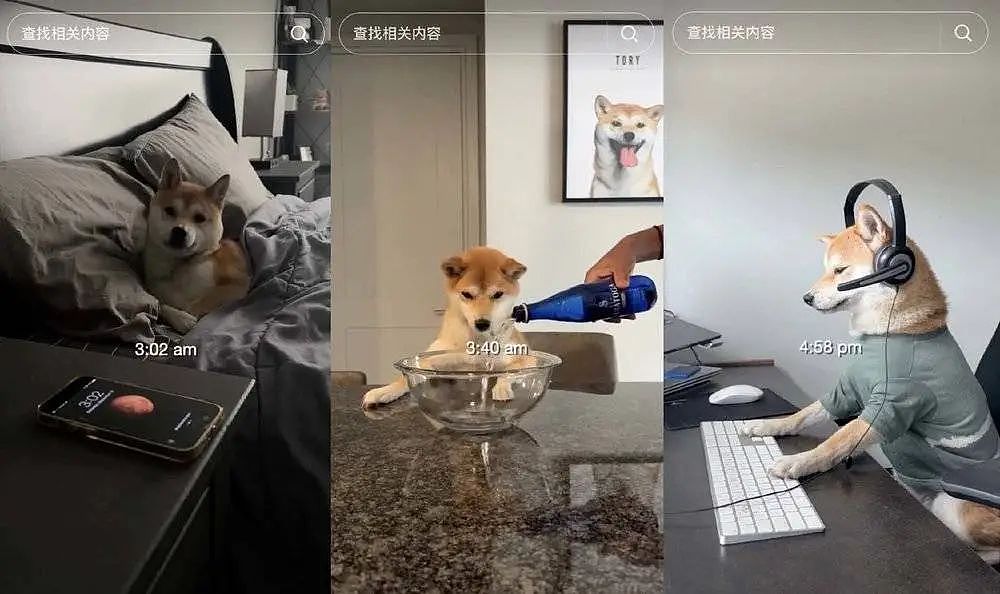 “美国精致男孩vlog”如何成为全网第一乐子(组图) - 42